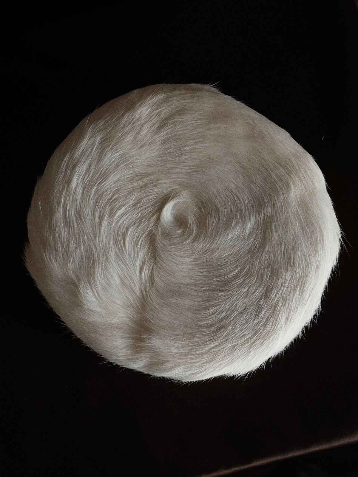 1950s Ivory Fur Pillbox Hat